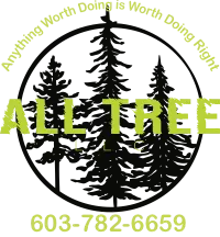 all%20tree%20shirt@0.5x